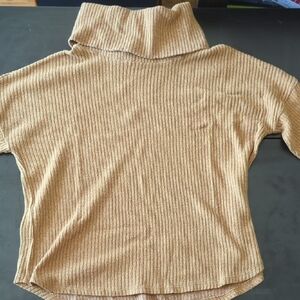 Cozy Tan Ribbed Turtleneck Top
